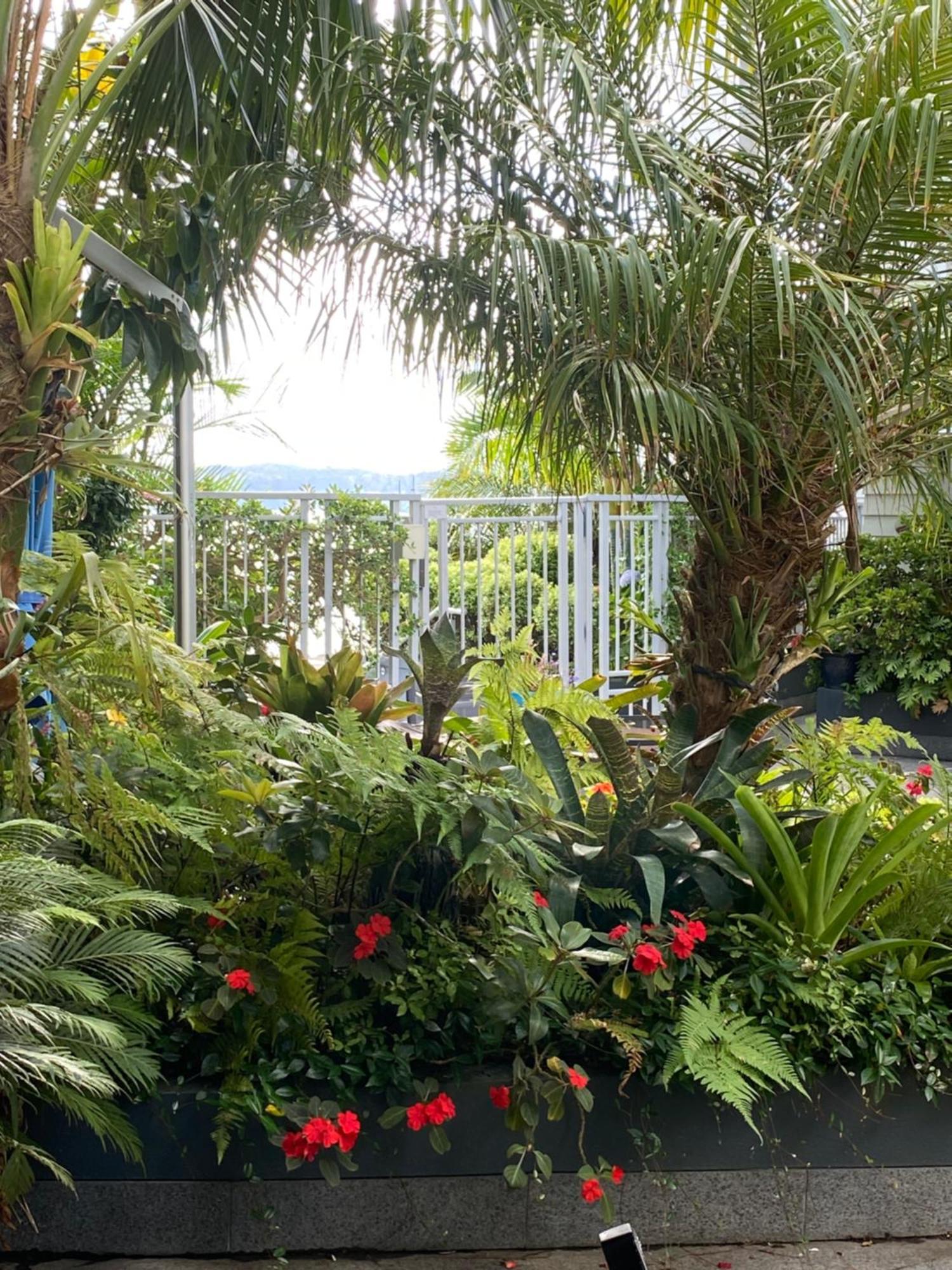 By The Sea Apartment Paihia Exterior photo